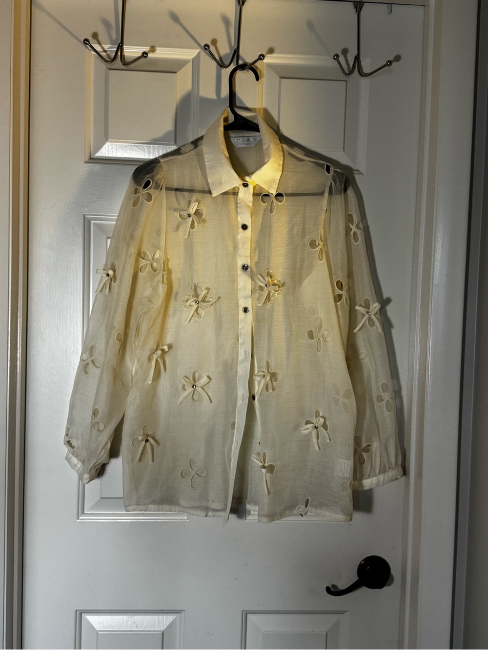 Sheer Embroidered Floral Button-Up Shirt - Cream
